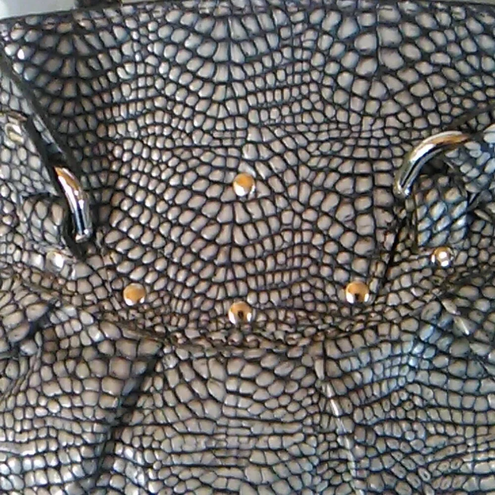 Vin Baker beautiful bag